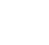 diverse-icon